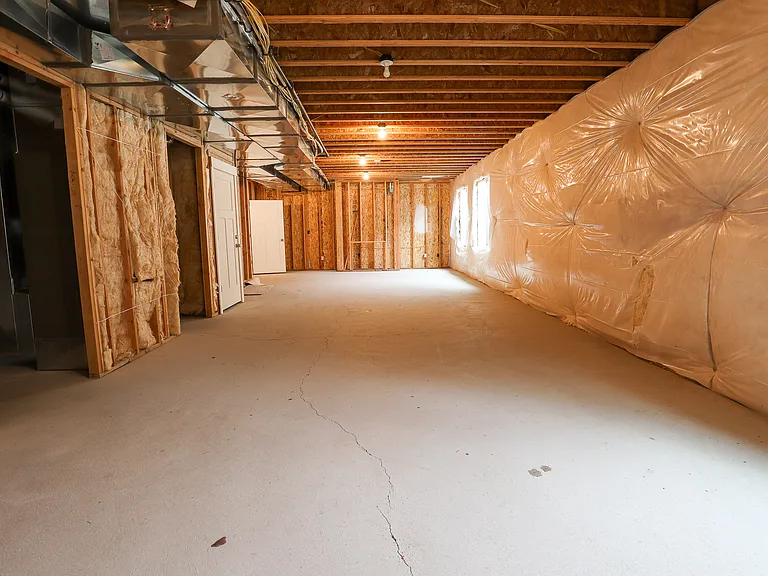 Basement Unfinished Family Room