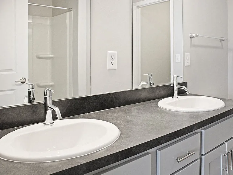 Double Sink Setup
