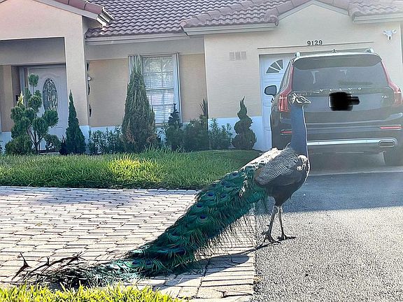 2nd image of 9129 SW 215th Ter
