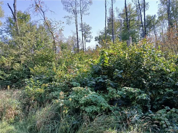 Outlots 5, 6, 7 Frels Road, Cable, WI 54821