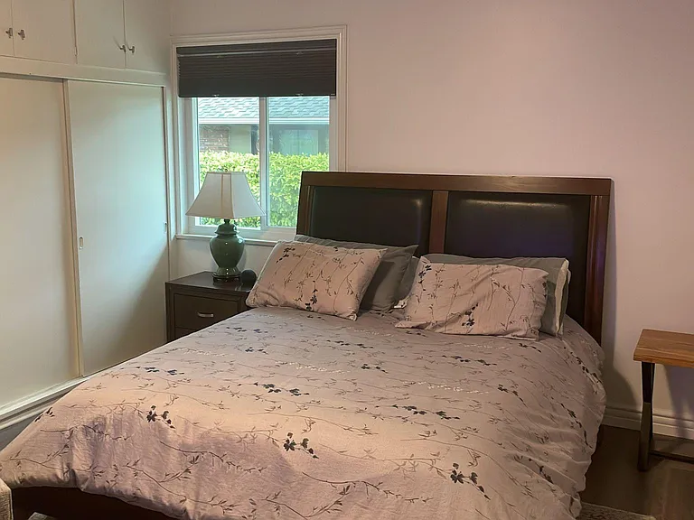 Deodar Cir — Photo 15