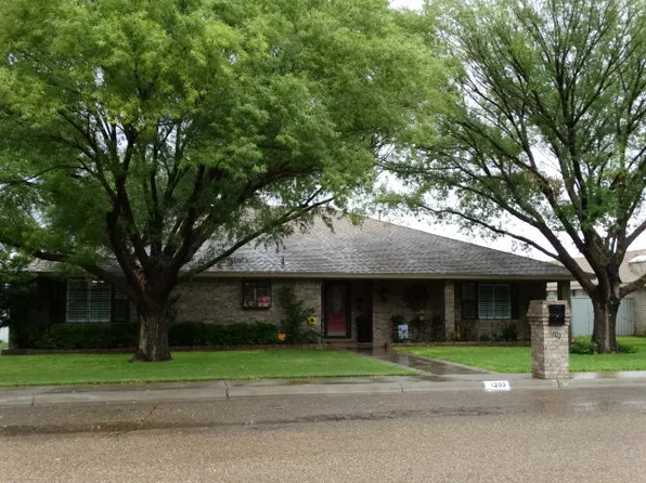 1202 S Nelson Ave, Monahans, TX 79756