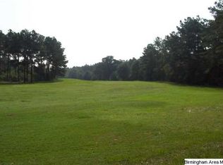 7887 Us Highway 11, Springville, AL 35146