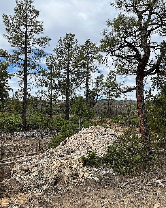 2nd image of 6334 Old Forest Trl