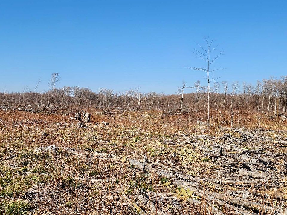 1st image of Vl 40 Acres Mockingbird Ln
