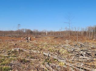Vl 40 Acres Mockingbird Ln, Kalkaska, MI 49646