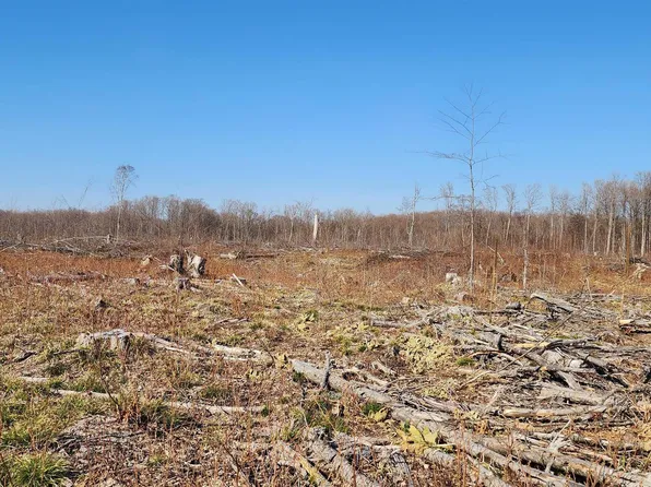 Vl 40 Acres Mockingbird Ln, Kalkaska, MI 49646