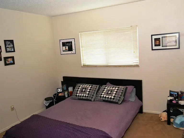 4225 Widgeon St — Photo 5