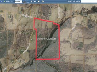 380 Nabinger Hill Rd, Nineveh, NY 13813