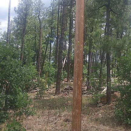 POWER POLE SW CORNER