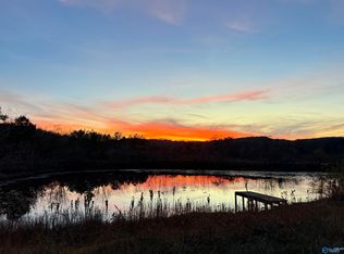 7210 Warrenton Rd, Guntersville, AL 35976