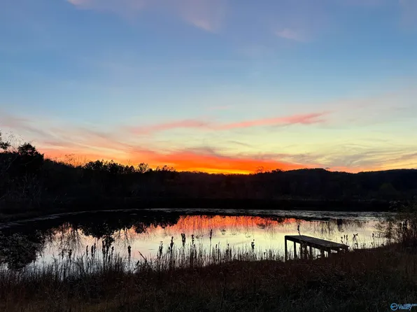 7210 Warrenton Rd, Guntersville, AL 35976