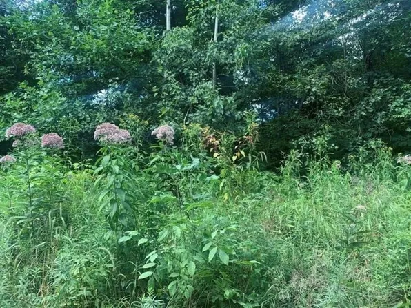 LOT 2B & #4, Mercer, PA 16137