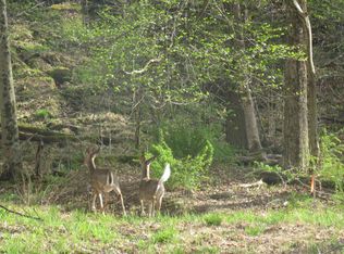 LOT 1 Elk Grove Rd, Benton, PA 17814