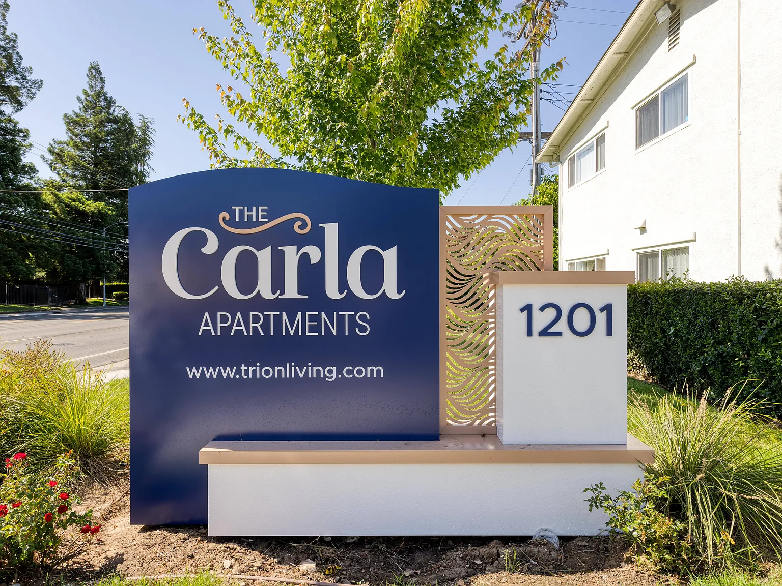 The Carla Apartments — Photo 2