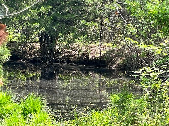 5th image of 000 County Road 350