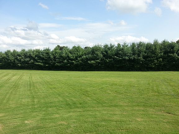 Back Yard 1.8 Acre Lot