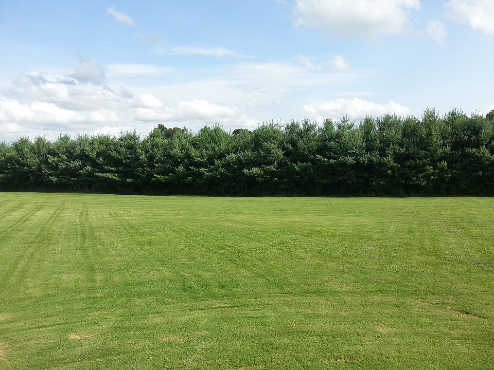 Back Yard 1.8 Acre Lot