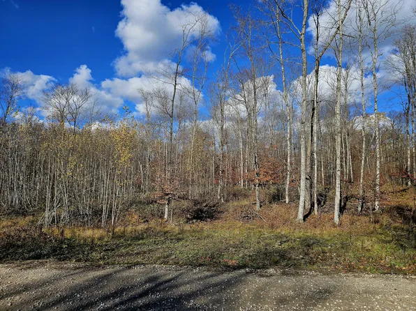 PARCEL North Rd #C, Curtis, MI 49820