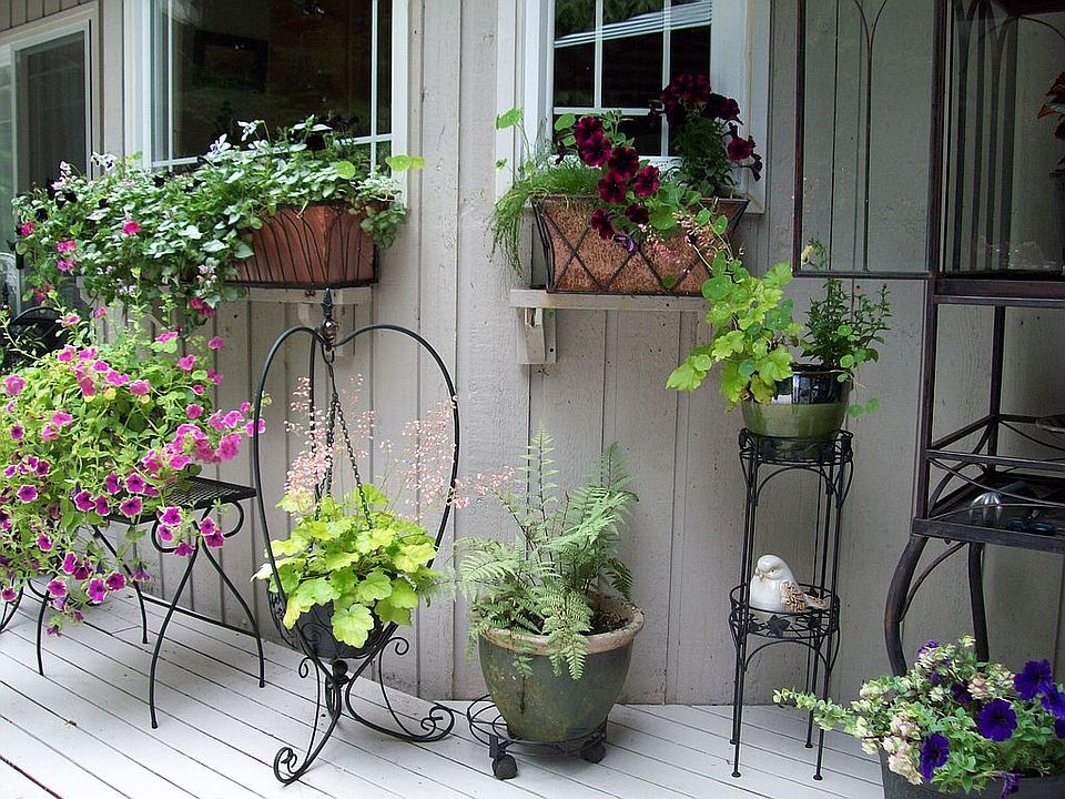 deck gardening