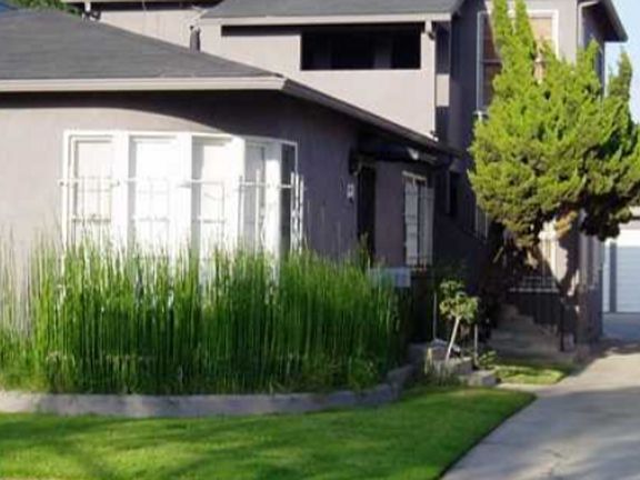 2nd image of 500 Almond Ave #D