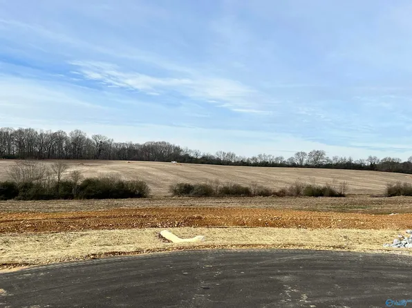 5 Bear Bryant Dr, Athens, AL 35613