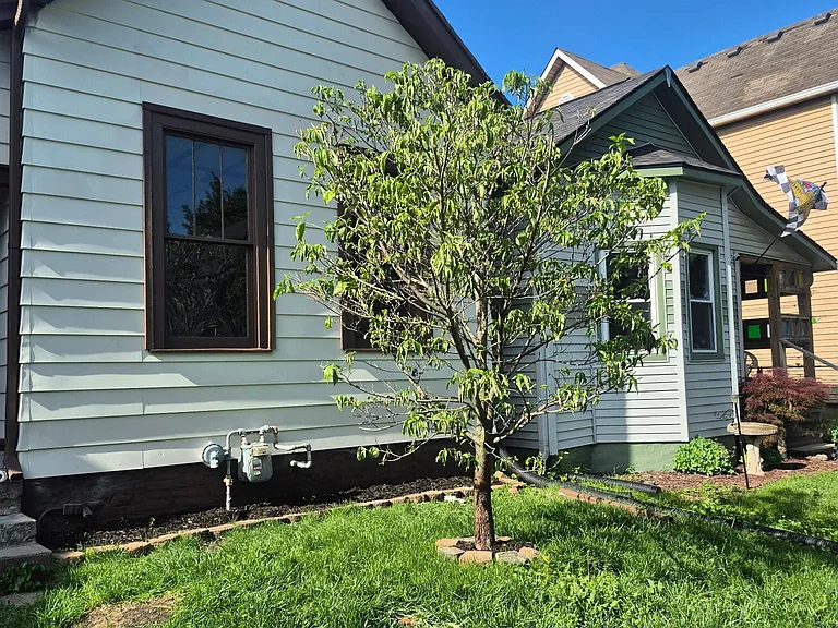 1148 Fletcher Ave — Photo 3