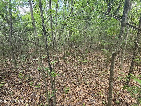 5th image of 1004 Zone Rd