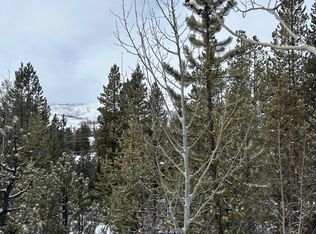 114, 122 Mustang Trail, Grand Lake, CO 80447