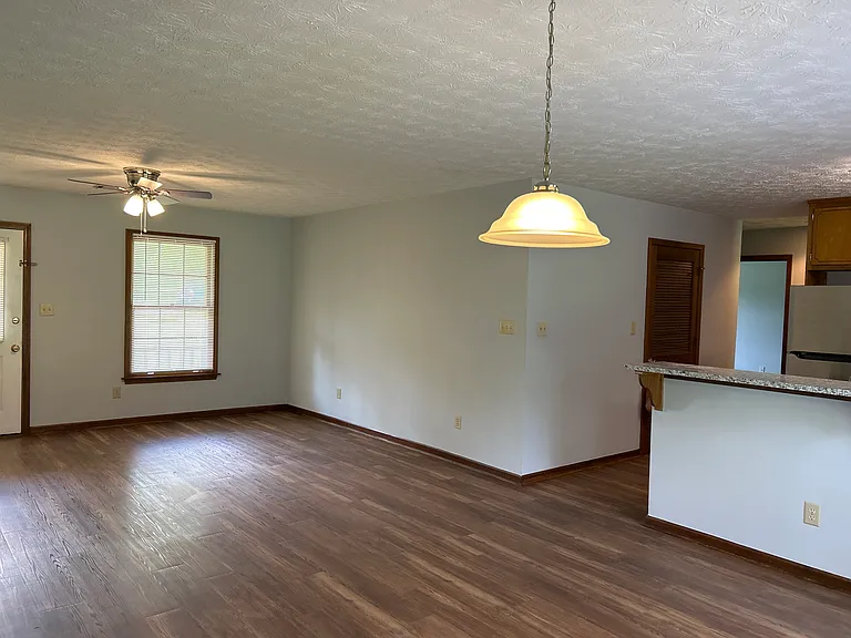 Standing at backdoor looking to living room