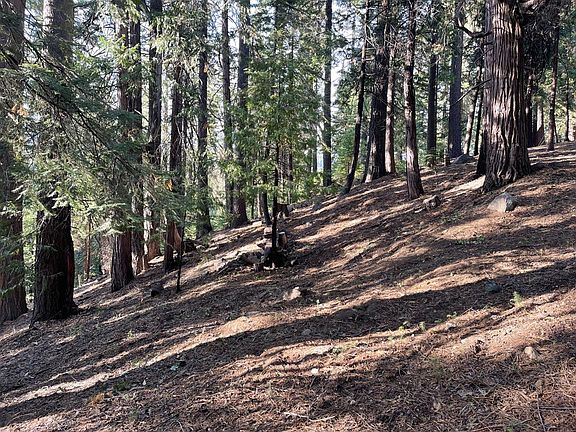 4th image of 1587 Shoshone Dr #18/7