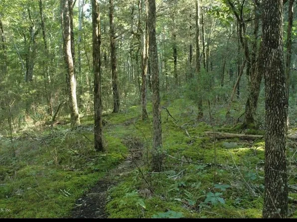 10392 SE 126th Ln #34, Belleview, FL 34420