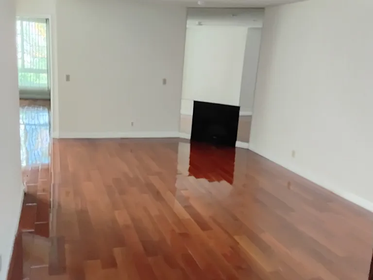 Wilshire Villa — Photo 38