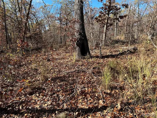 0 Partridge Dr, Climax Springs, MO 65324