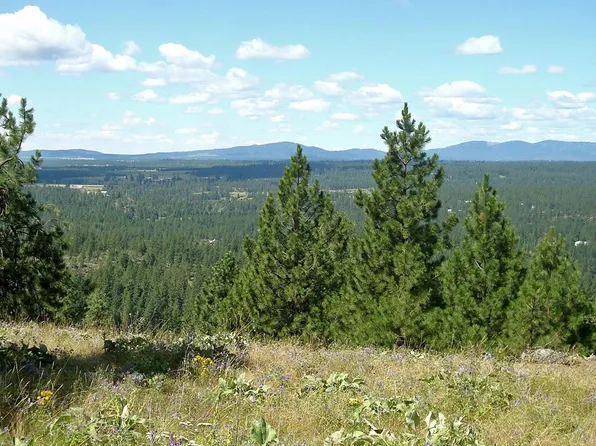 LOT 33 E Robin Ln, Chattaroy, WA 99003