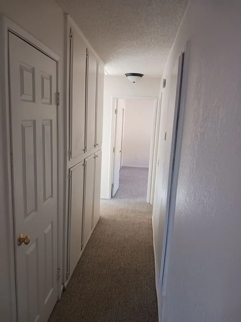 3 bed 2 ba — Photo 4