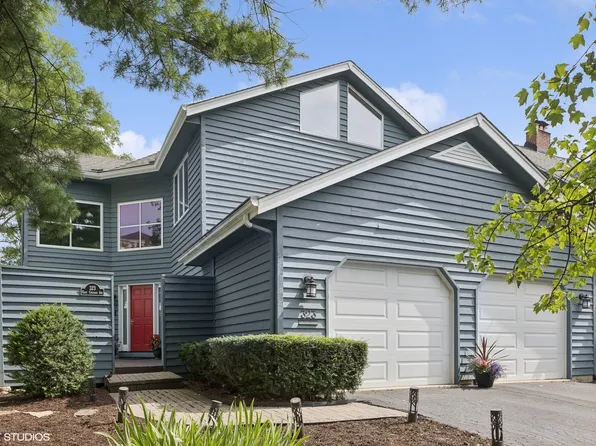 323 E Chicago Ave, Hinsdale, IL 60521