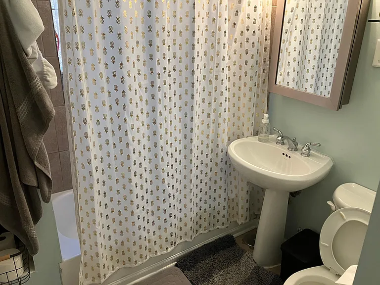 2156 N Kedzie Blvd #2F — Photo 11