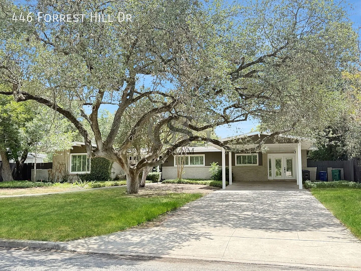 Northwood Beauty — Photo 1