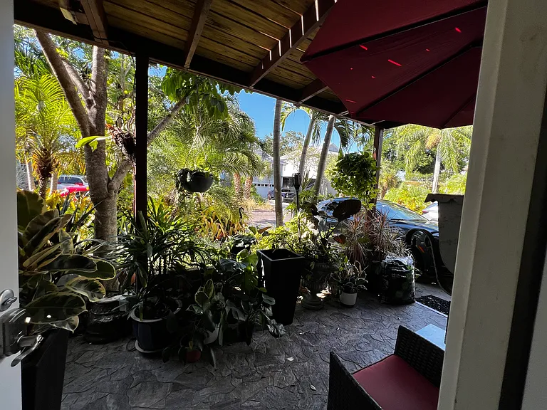 Green and Serene Patio.