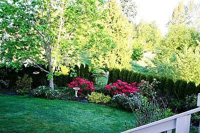 Part Of The 10,000 Sq Ft Lot