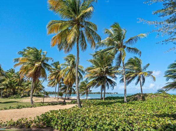 (undisclosed Address), Rio Grande, PR 00745