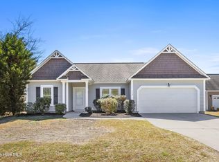115 Blueberry Fields Rd, Maple Hill, NC 28454