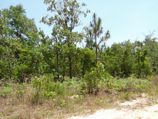 2nd image of 25 W Bach Dr