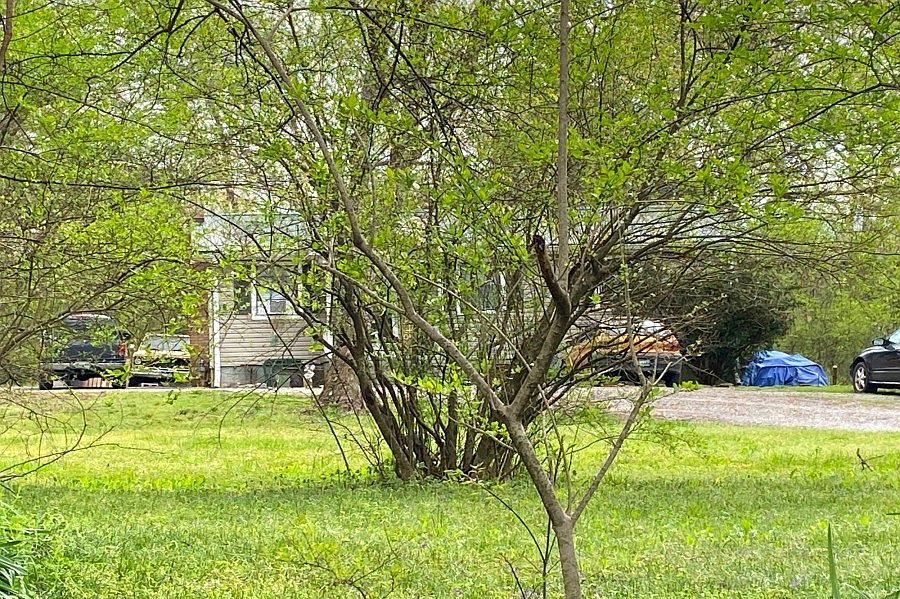 2nd image of 41 Thompson Ln