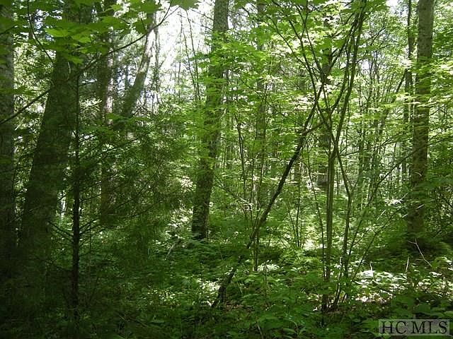 2nd image of 650 Scout Mountain Dr