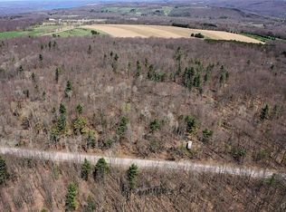 Swartz Rd, Dansville, NY 14437