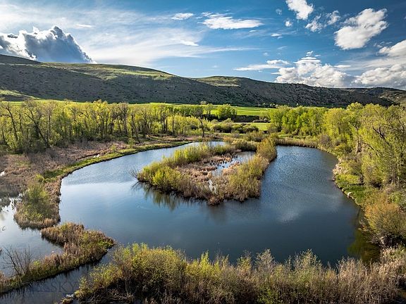 50th image of this home