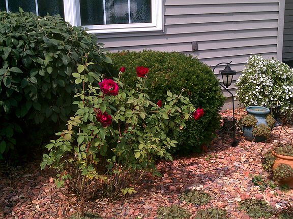 2nd image of 5137 Breezefield Dr SE