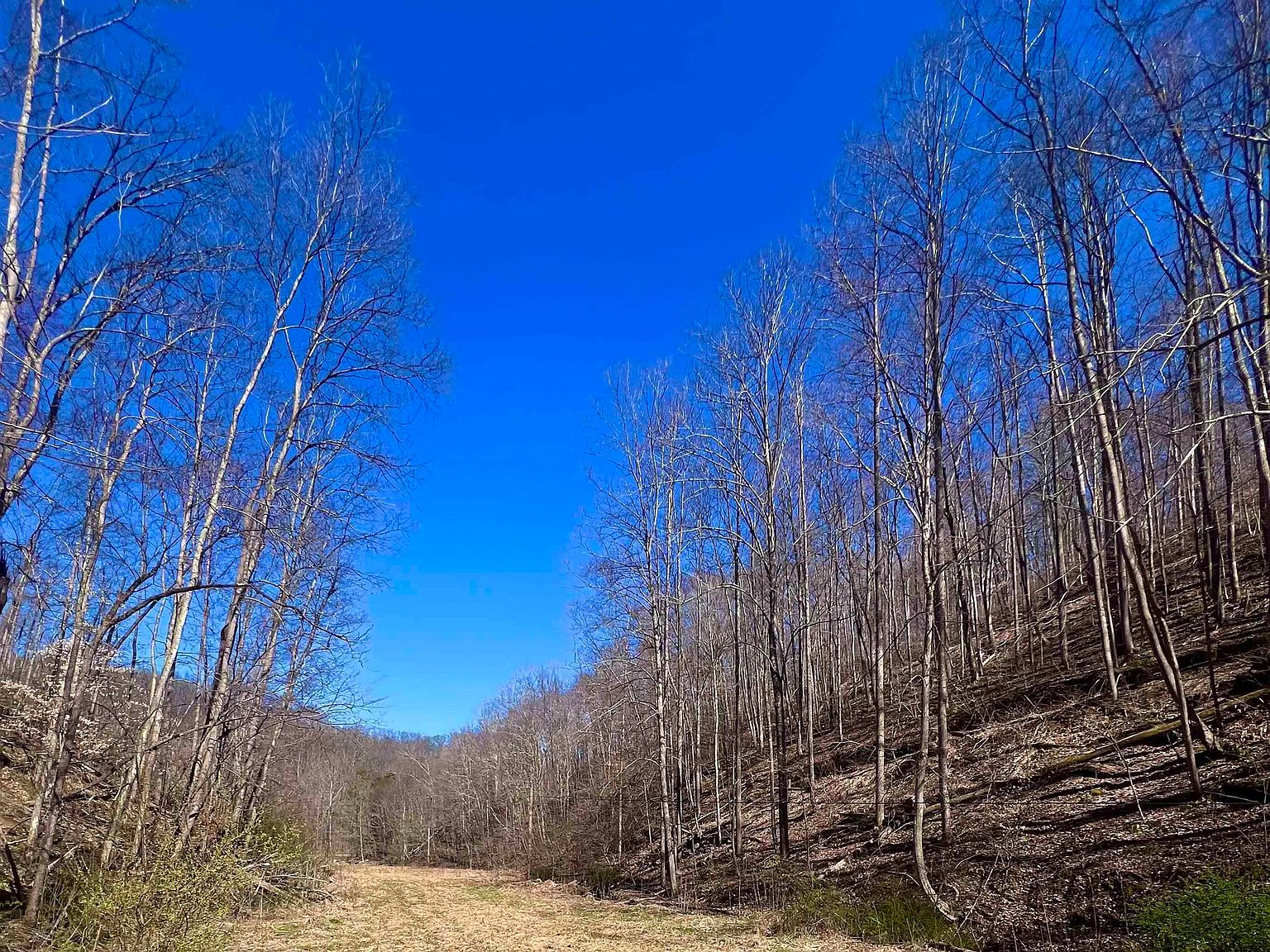 0 Long Run Rd, Salem, WV 26426 MLS 10153609 Zillow